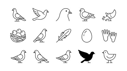Fototapeta premium Collection of pigeon birds nest eggs feather line art vector icons with standing wildlife ornithology