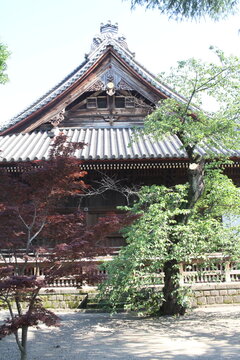 A detailed side view of a traditional main hall (Konpon Chudo) at a Japanese temple.