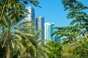 Fototapeta premium Abu Dhabi, Arab Emirates. Modern urban architecture of the business part of the city. Dominated by high-rise buildings. An example of urban greening, landscaping of cities