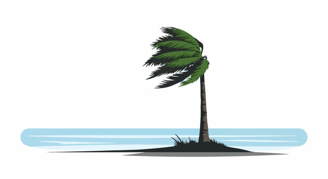 A lone palm tree bends in the wind beside a body of water
