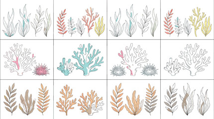 Hand drawn underwater marine plants and colorful coral reefs set, seamless marine life vector illustration elements for commercial design © Abdul