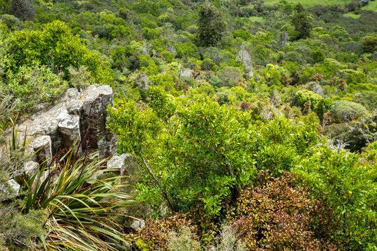 Volcanic basalt rock columns and lush vegetation