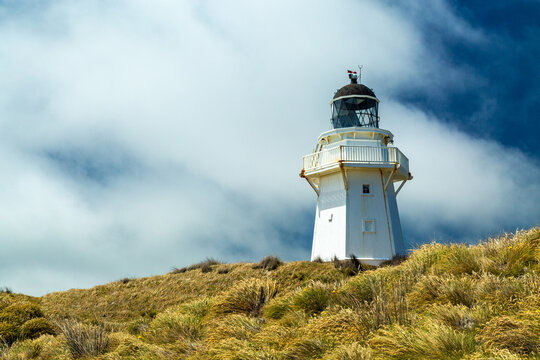 Waipapa Point Lighthouse surrounded by tussocks of grass.