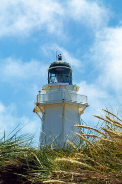 Waipapa Point Lighthouse surrounded by tall grass in seed.