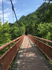 Fototapeta premium Suspension Bridge in a Lush Green Mountain Forest