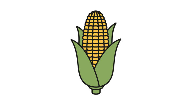 Fresh Corn on the Cob Illustration.
