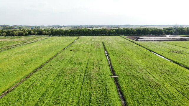Aerial drone flying over green dutch polder landscape