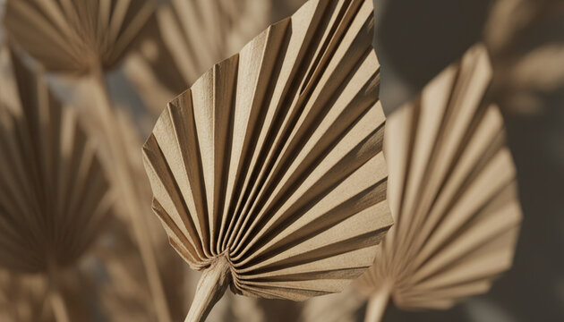 Dried palm spear leaf texture with sharp pleated geometric folds