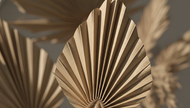 Dried palm spear leaf texture with sharp pleated geometric folds