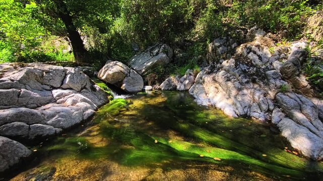 Rocky  water pool with algae flow and submerged stone textures