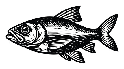 Fototapeta premium Detailed fish black and white woodcut engraving style marine