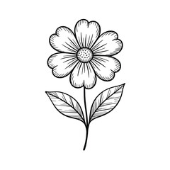 Fototapeta premium Black and white hand drawn flower illustration botanical line art