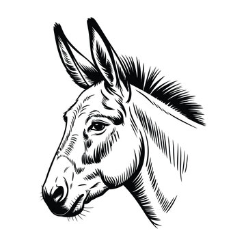 Donkey head profile illustration stylized monochrome art