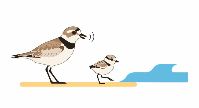 A parent bird instructs a chick on a sandy shore near blue water