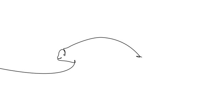 Continuous One Line Seal Hunting Fish Minimal Marine Wildlife Animation