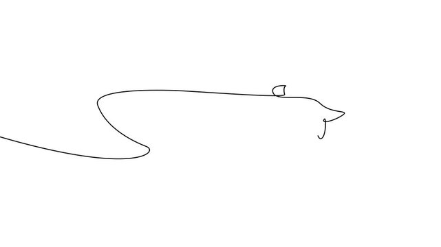 Continuous One Line Whale Shark Marine Sea Animal Minimal Ocean Animation