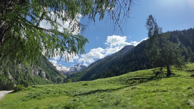 Val di Sole Ossana montagna aria vento fronde