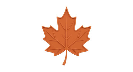 Fototapeta premium Autumn Maple Leaf Close Up.