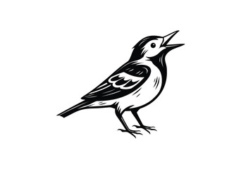 Obraz premium Stylized singing bird with open beak black and white illustration