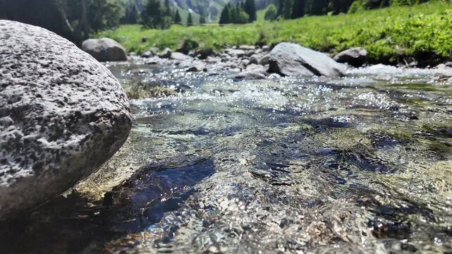 torrente fiume trentino Val di Sole 