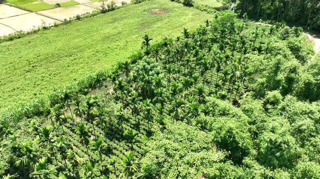 green grass field, Dima Hasao, Karbi Anglong,  Assam