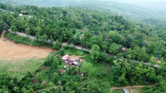 landscape with trees, Assam, Dima Hasao