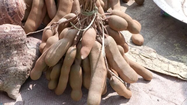 Raw Imli, Tamarind, Assam