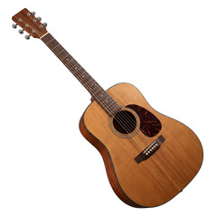 Fototapeta premium Acoustic guitar with natural wood finish and tortoiseshell pickguard, acoustic