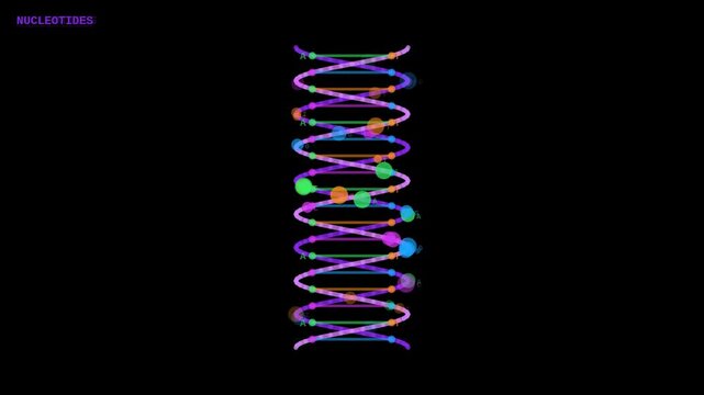 Purple nucleotide flow HUD animation with flowing particles along helix overlay for biochemistry