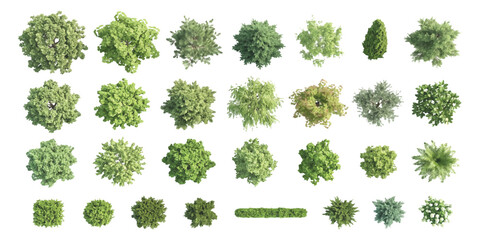Set of green trees and bushes seen from above for landscape design and architectural site plan mapping projects © ZenVectors