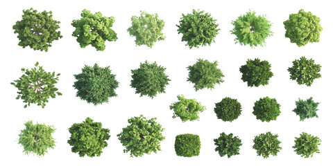 Set of green trees and bushes top view for landscape design and architectural project plans © ZenVectors
