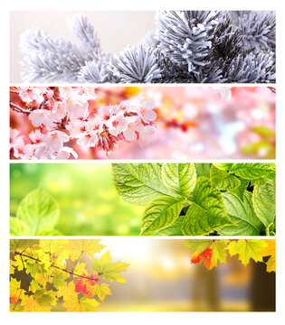 Four season of year. Set of horizontal nature banners. Each one features scene of nature, from the gentle snowfall of winter to the vibrant leaves of summer. Perfect for showcasing changing seasons