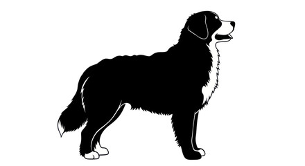 Bernese Mountain Dog Silhouette Vector Illustration © Kuwadi
