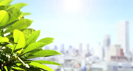 Modern environmentally friendly city and green leaves. Safety, global ecological resource, go green concept. Environmental conservation, wildlife protection, Eco-friendly, Green energy © frenta