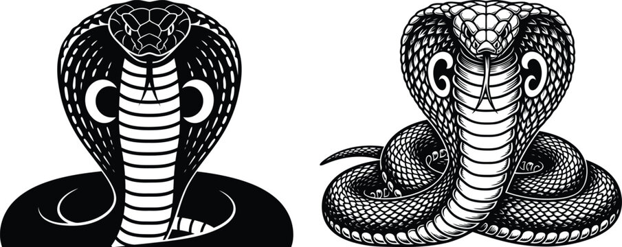 Black and white cobra illustrations