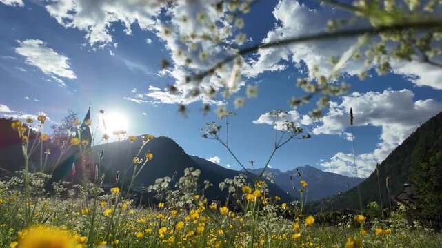 paesaggio di montagna primavera 