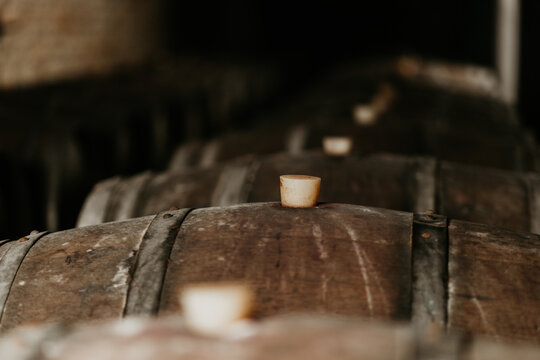 View of traditional wooden wine barrels with bungs in a dark cellar in Coka, Vojvodina, Serbia.