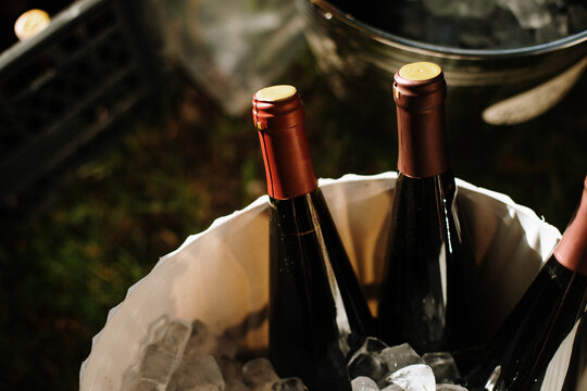 View of wine bottles chilling in a metal bucket filled with ice cubes during an outdoor event in Sremska Mitrovica, Vojvodina, Serbia.