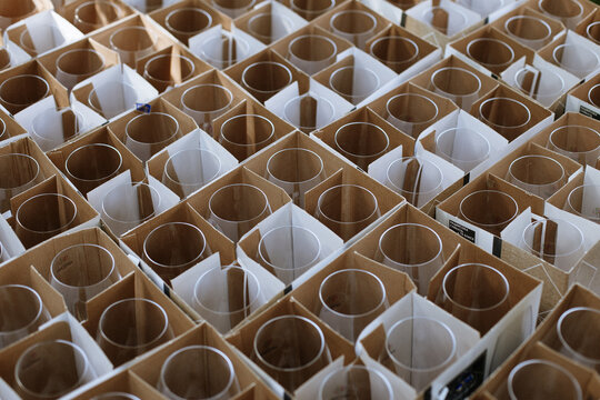 View of numerous empty wine glasses organized in cardboard boxes with protective dividers in Sremska Mitrovica, Vojvodina, Serbia.