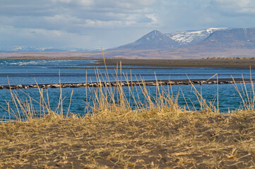 Phoques Islande © Julien DEHAZE