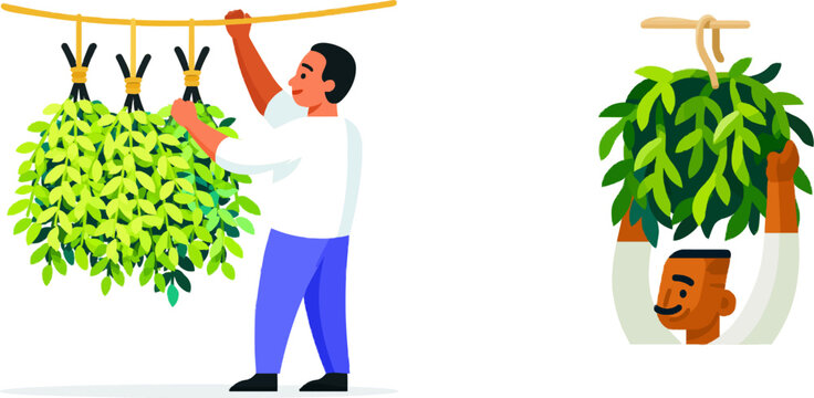 A man carefully hangs fresh green herbs on a simple twine string, drying them in a minimalist setting with a clean, vector-style illustration