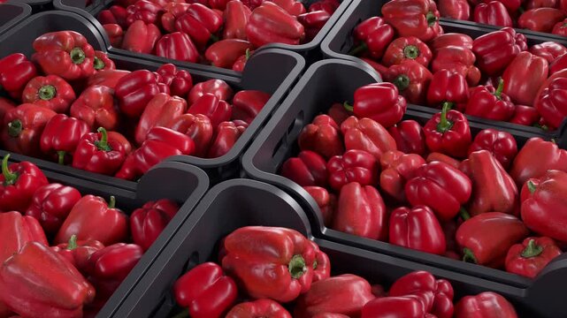 Red peppers in boxes ready for sale.