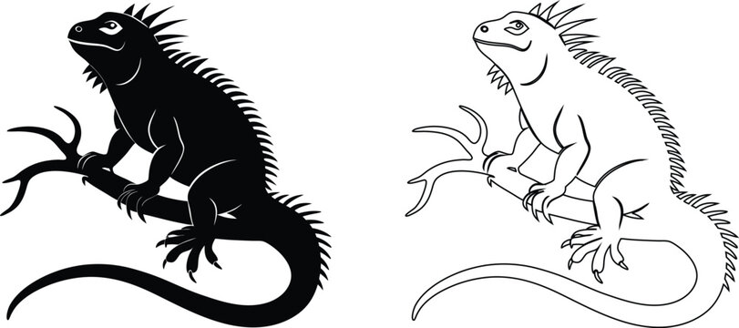 Black silhouette and outline iguana perched on branch lizard reptile animal wildlife
