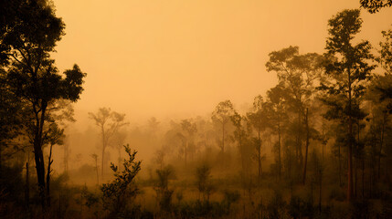 Fototapeta premium Misty Forest Landscape at Sunrise with Silhouetted Trees
