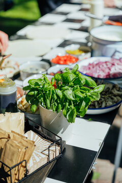 Potted basil beside pizza ingredients, sliced onions, mushrooms, tomatoes, sauces, and paper packets on a prep table with gray copy space