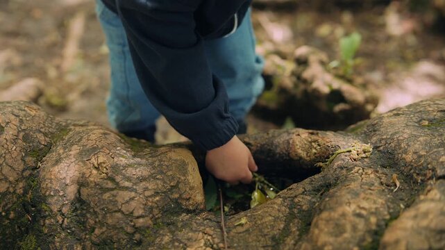 Young child methodically advances to natural hole with curiosity
