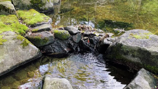 【自然】公園の池と流れる水と石と苔のある風景 - Park Landscape with Pond, Flowing Water, Stones and Moss