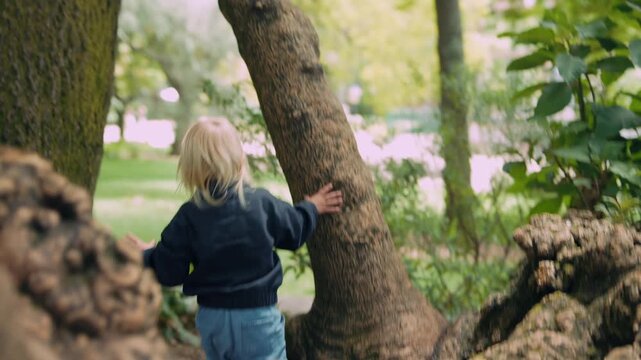 Playful toddler hiding behind tree trunk, peekaboo moment