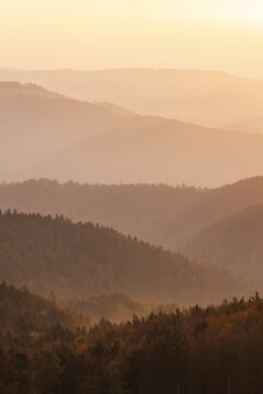 View of the Jauerling mountain ridges shrouded in golden mist and autumn forest layers during sunset Krems, Niederosterreich, Austria.