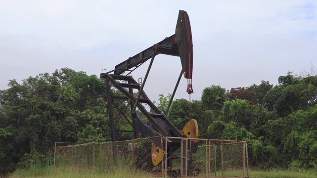 An old industrial oil pumpjack machine operating in a rural area surrounded by dense green forest and wild grass under a cloudy sky.